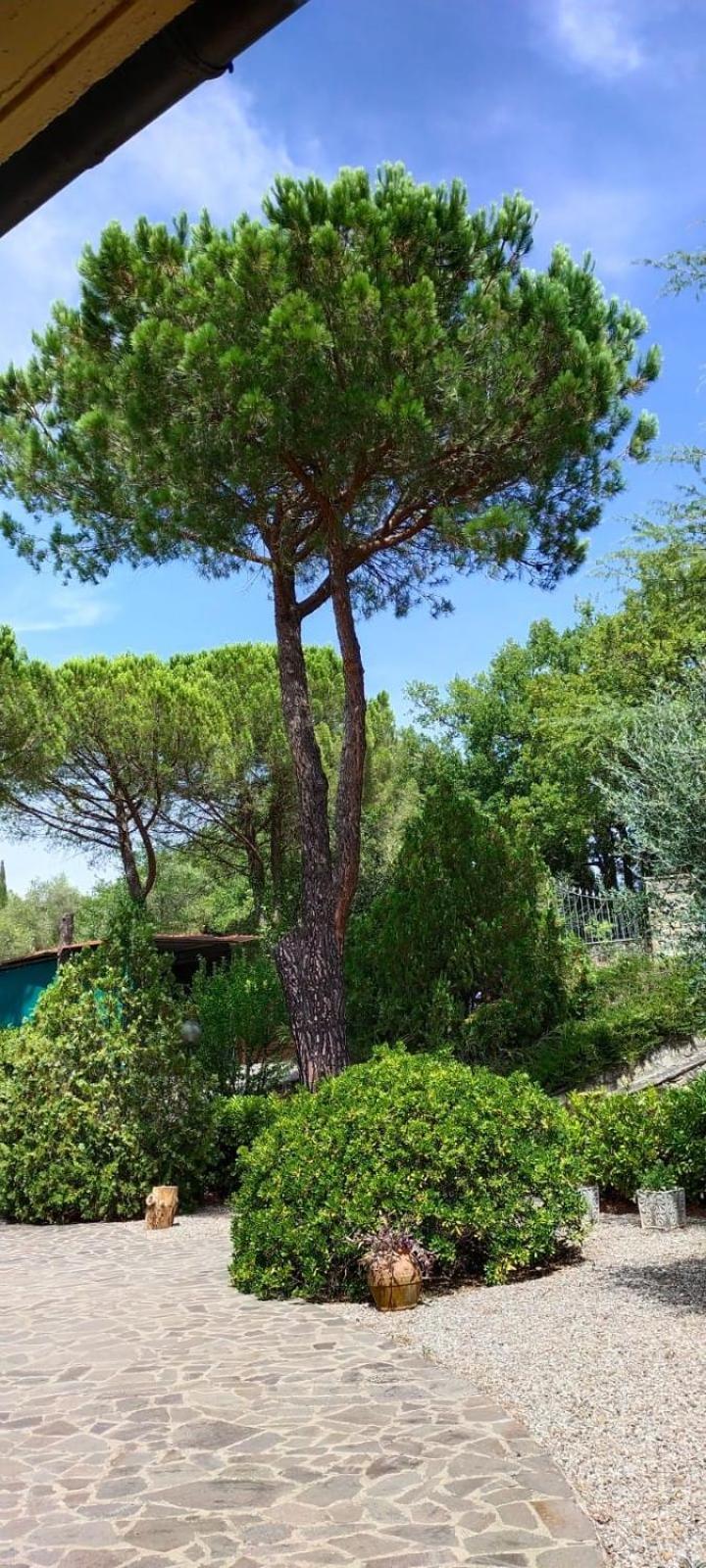 Villa Santa Margherita - La Suvera Ponte A Bozzone Ngoại thất bức ảnh