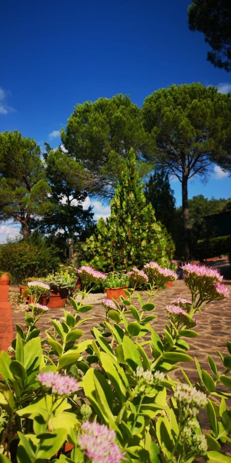 Villa Santa Margherita - La Suvera Ponte A Bozzone Ngoại thất bức ảnh