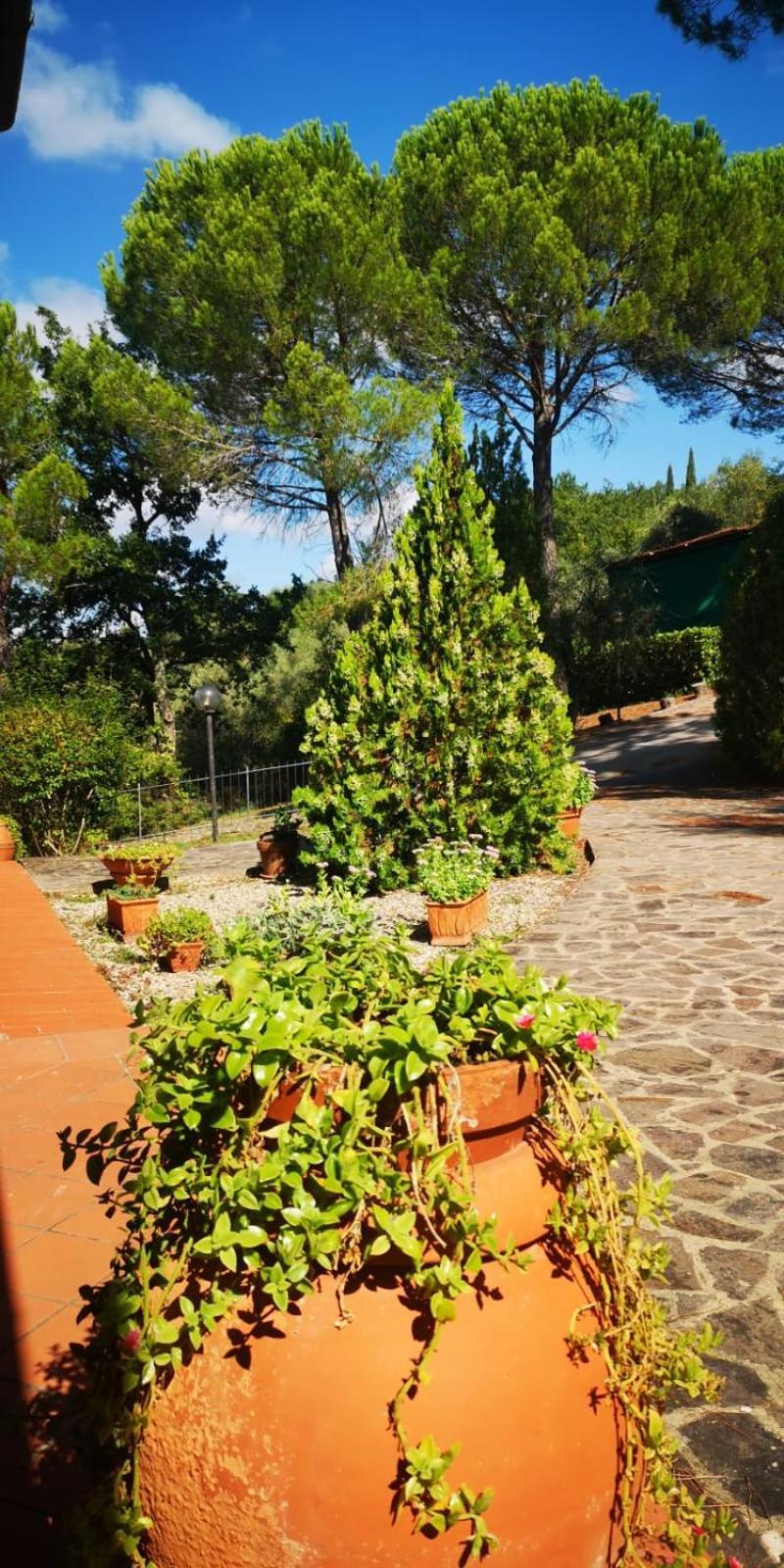 Villa Santa Margherita - La Suvera Ponte A Bozzone Ngoại thất bức ảnh